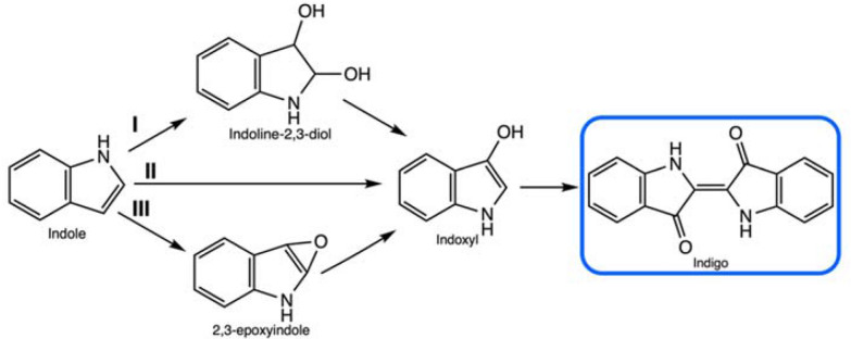 Fig. 9
