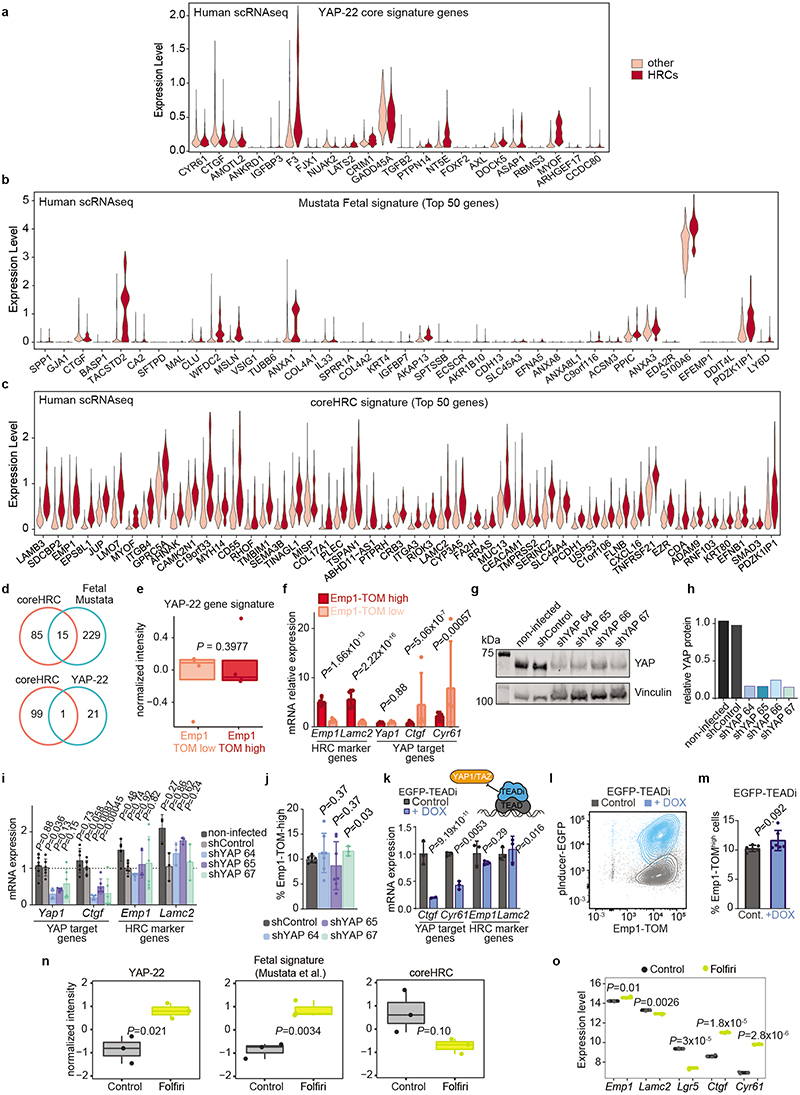 Extended Data Fig. 9 |