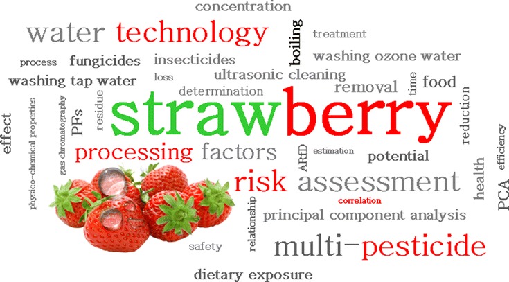 Graphical abstract