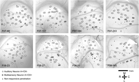Fig. 7.