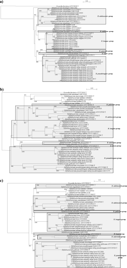 FIG. 1.