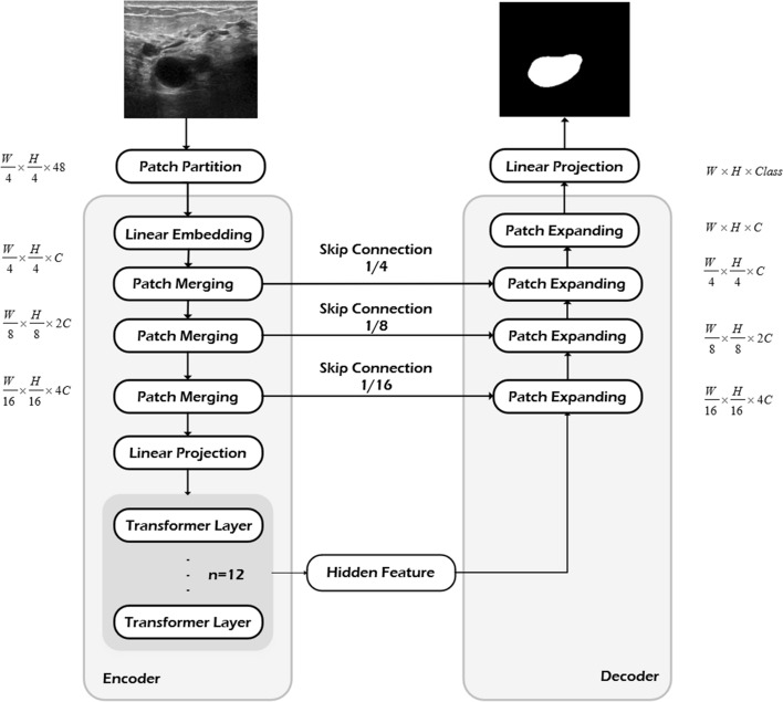 Fig. 8